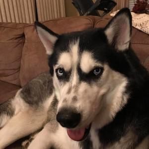 Meet your Posher, Mandy